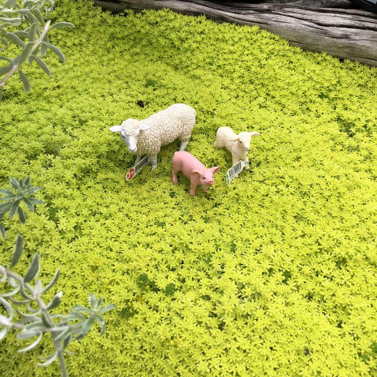 Schleich　カシの木（大）　2005年製　高さ約32㎝ Schleich カシの木（大） 2005年製 高さ約32㎝