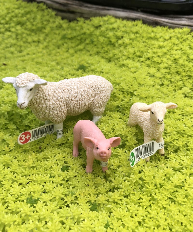 シュライヒ Schleich シャモアとヌーの親子3点セット シュライヒ Schleich シャモアとヌーの親子3点セットの通販 by