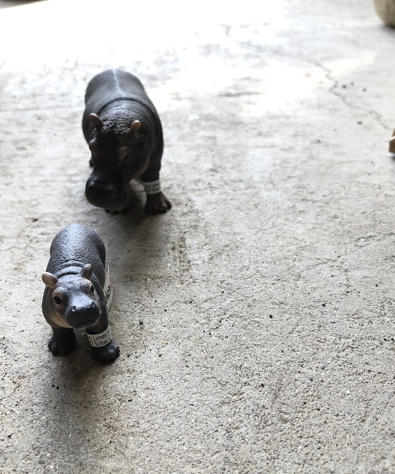 【sheepさま】KARA 2セット チャコ メンズ クッシュZ – aandfonlinestore