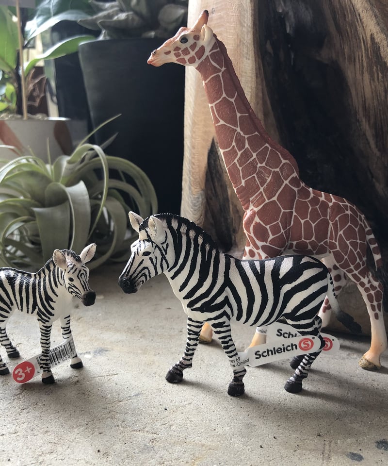 シュライヒ サファリ ブナの木 単品 Amazon.co.jp: Schleich Wild Life