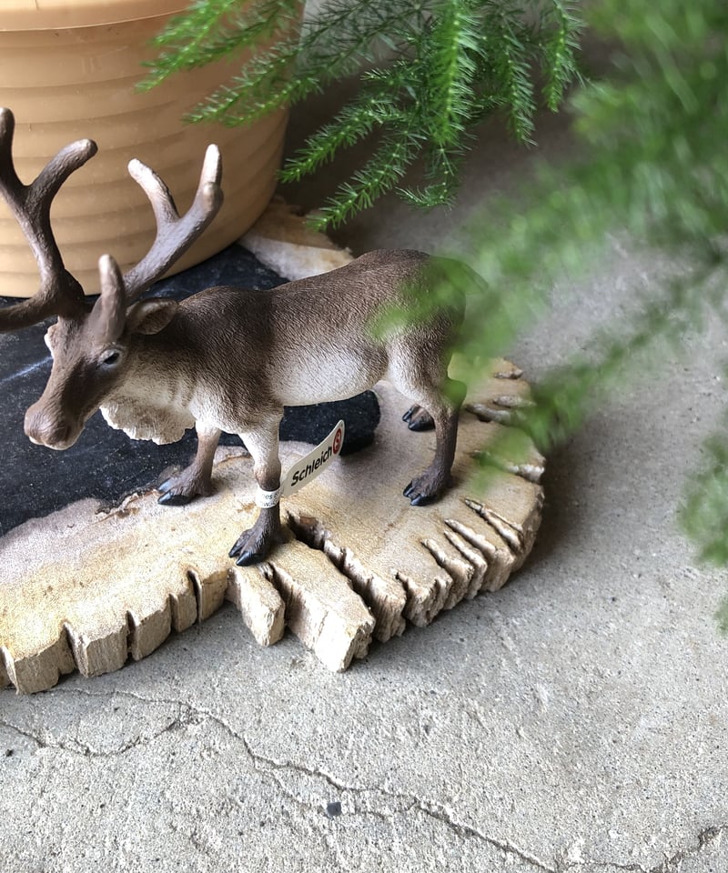 Schleich トナカイ | ¨MONKEY TREE¨ by SABOTEN MISSILE