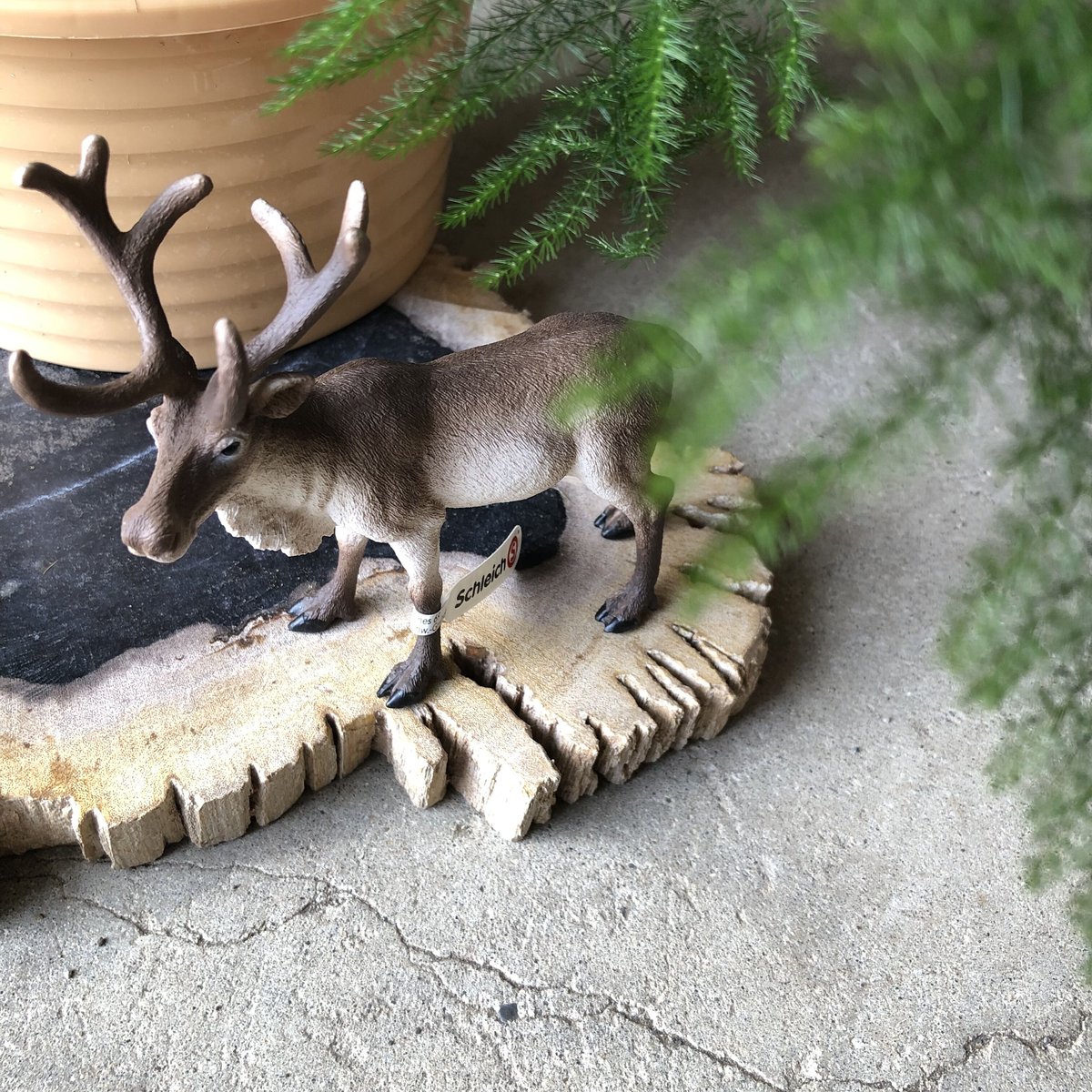 Schleich トナカイ | ¨MONKEY TREE¨ by SABOTEN MISSILE