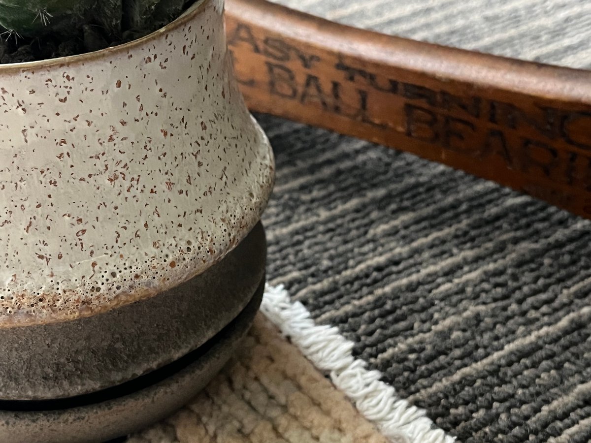 1点もの】Polaskia chichipe silver crystata 雷神閣綴化 |