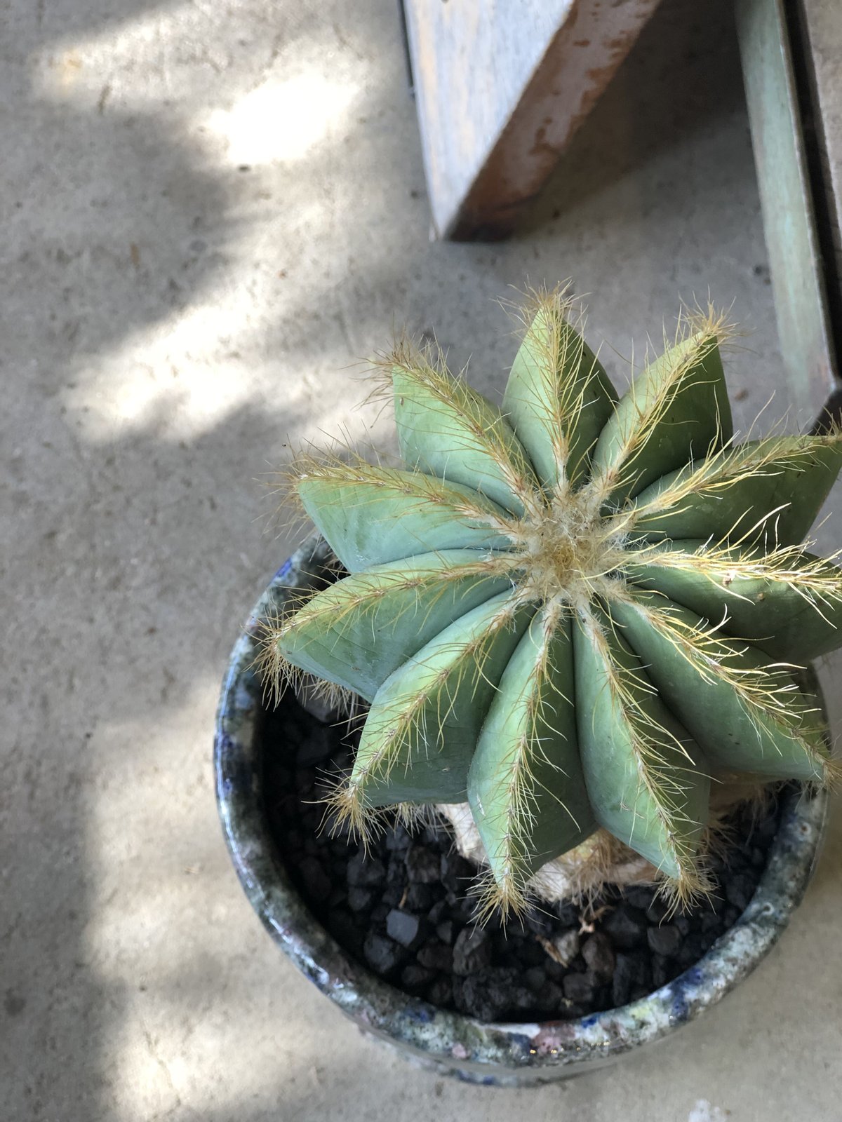 fit=scale-down,w=1200