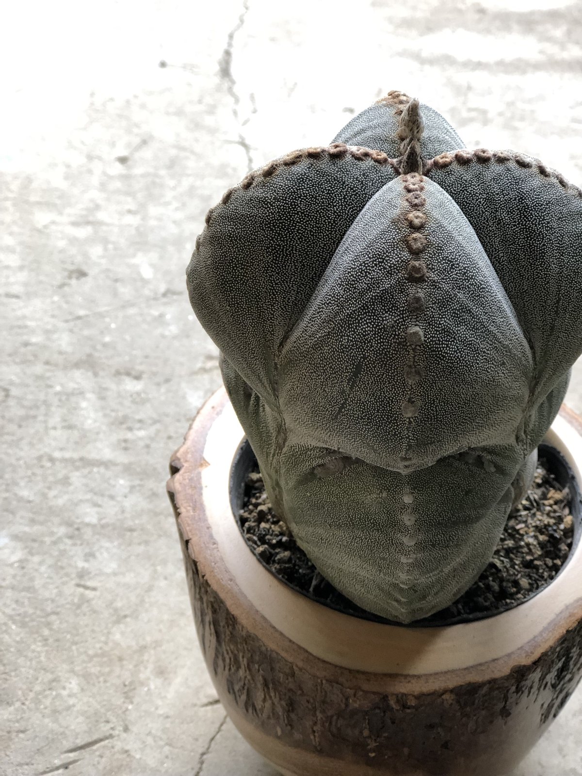 fit=scale-down,w=1200