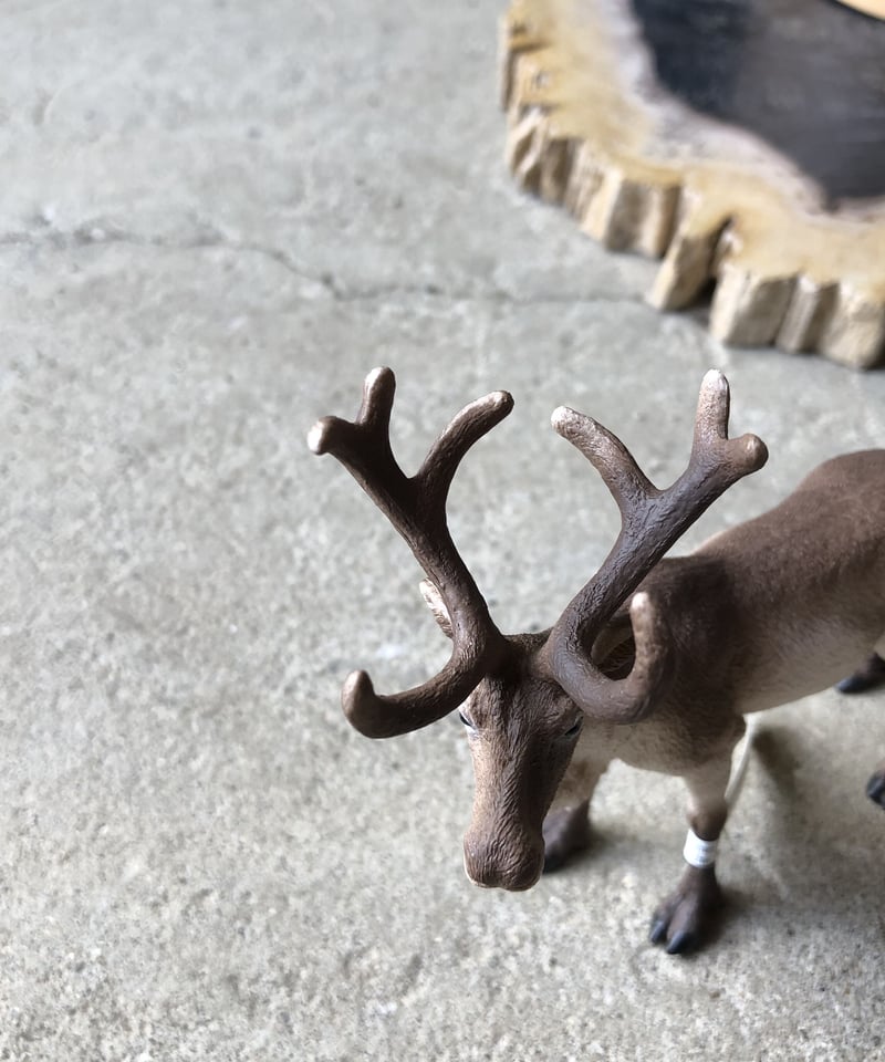 Schleich トナカイ | ¨MONKEY TREE¨ by SABOTEN MISSILE