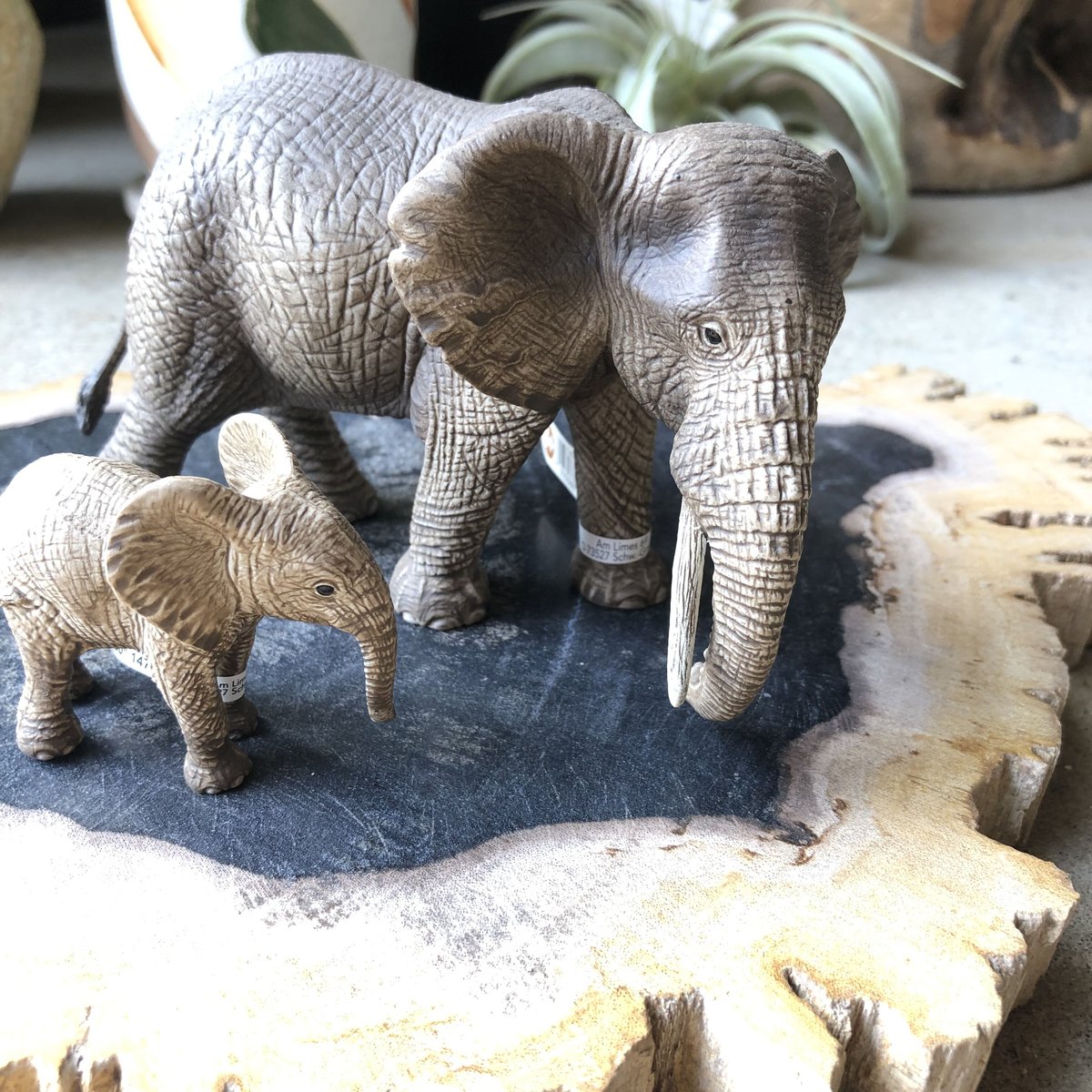 Schleich 2Set アフリカゾウの親子 | ¨MONKEY TREE¨ by SAB