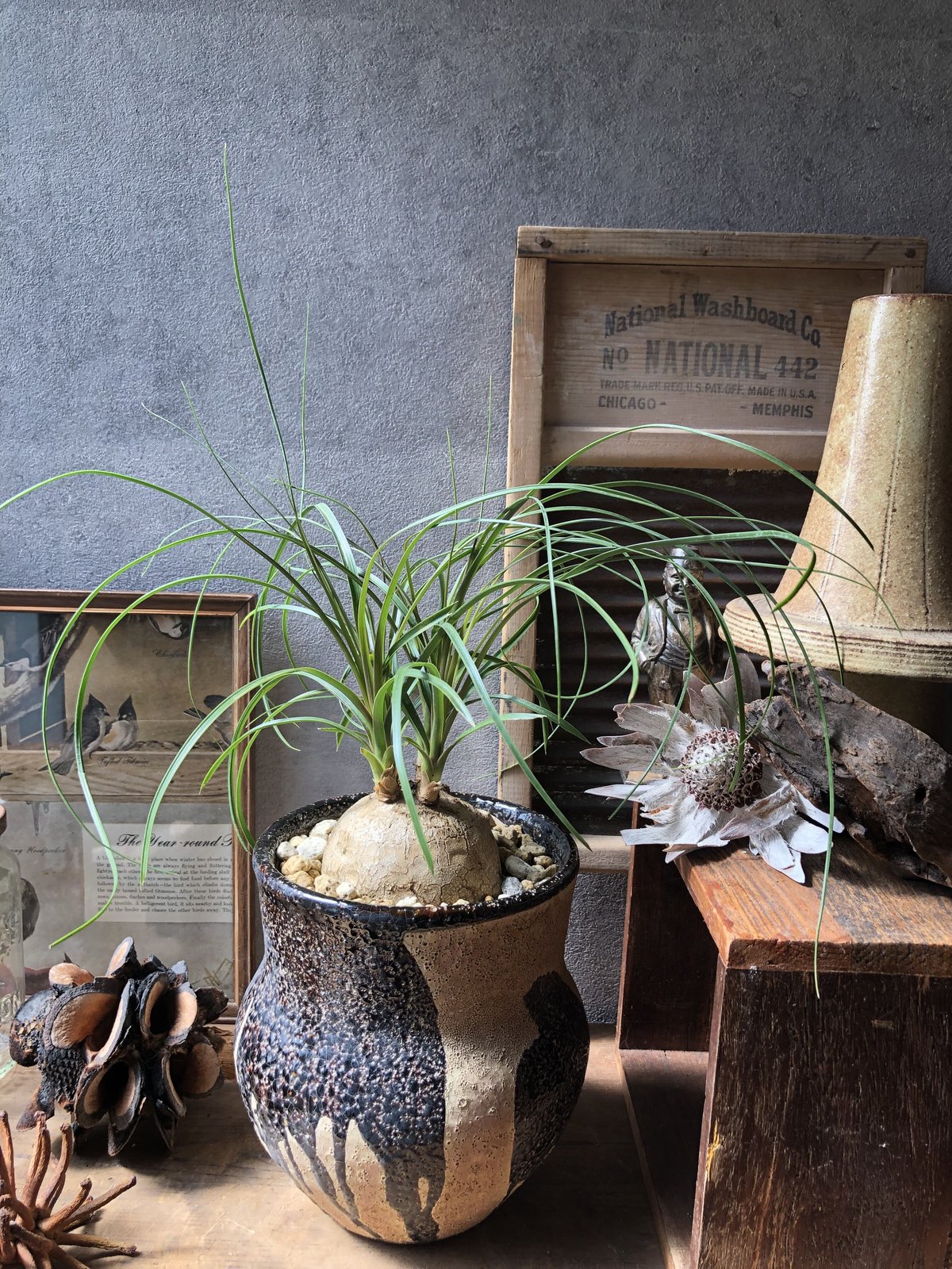 fit=scale-down,w=1200