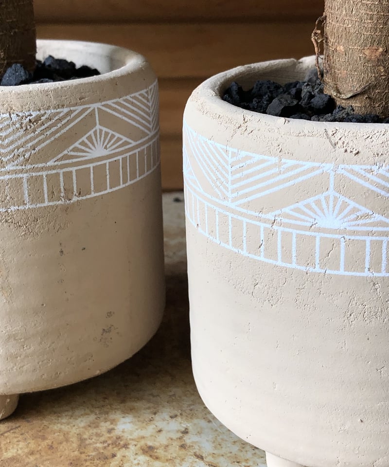 Ficus malacocarpa ガジュマル | ¨MONKEY TREE¨ by SABO