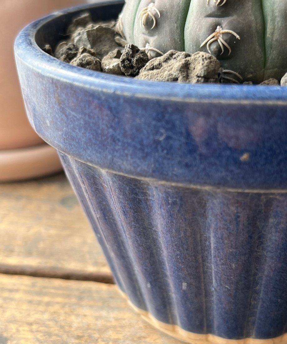 691f2dcbefd70e4fc6034fc2