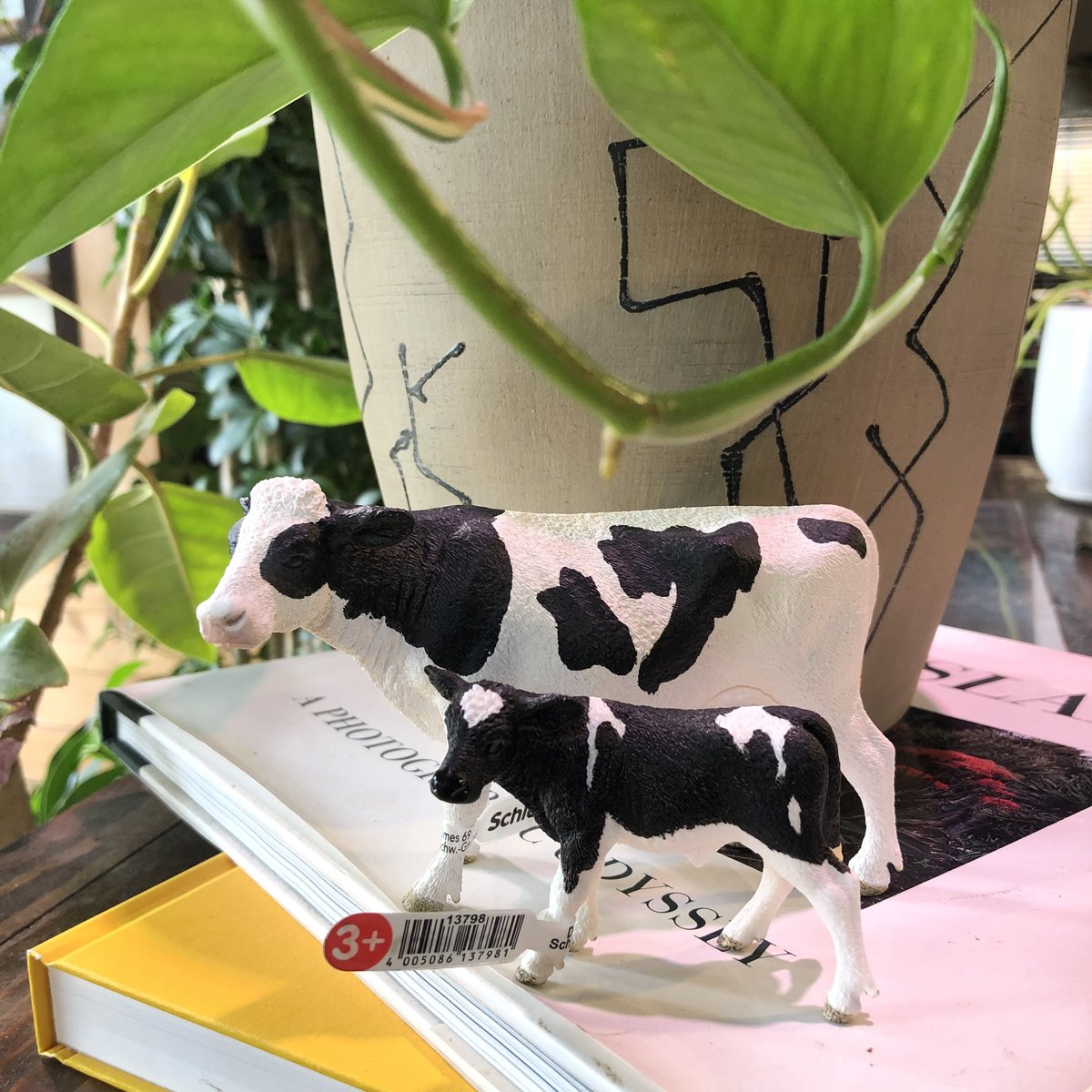 Schleich シュライヒ オランウータンフィギュア 親子3体セット Schleich シュライヒ オランウータンフィギュア 親子3体セット 楽天