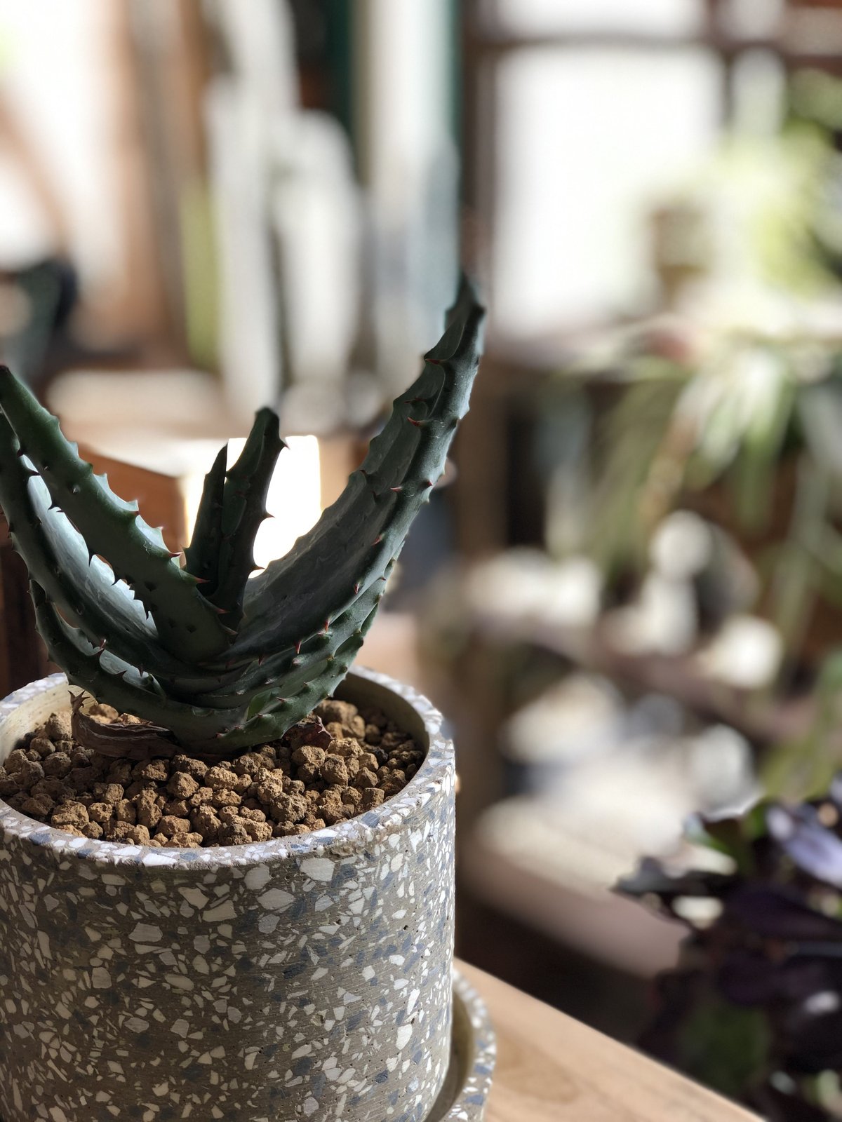 fit=scale-down,w=1200