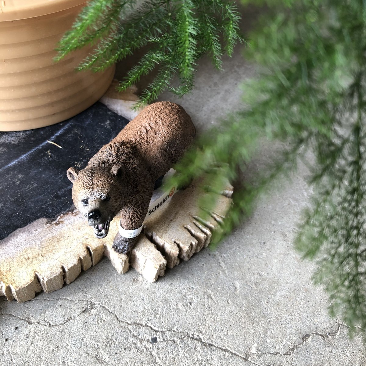 動物フィギュア　シュライヒ　PAPO 他　クマ グリズリー シュライヒ 動物 フィギュア グリズリー ベア クマ 子ども 廃盤