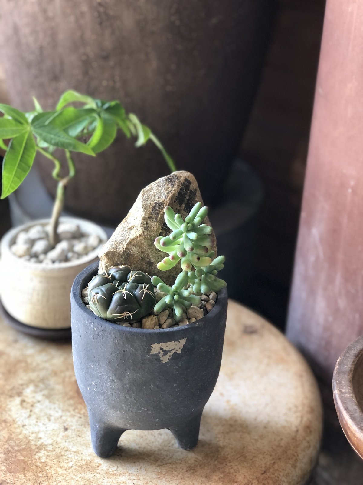 fit=scale-down,w=1200