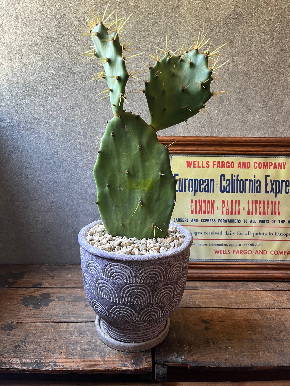 fit=scale-down,w=1200