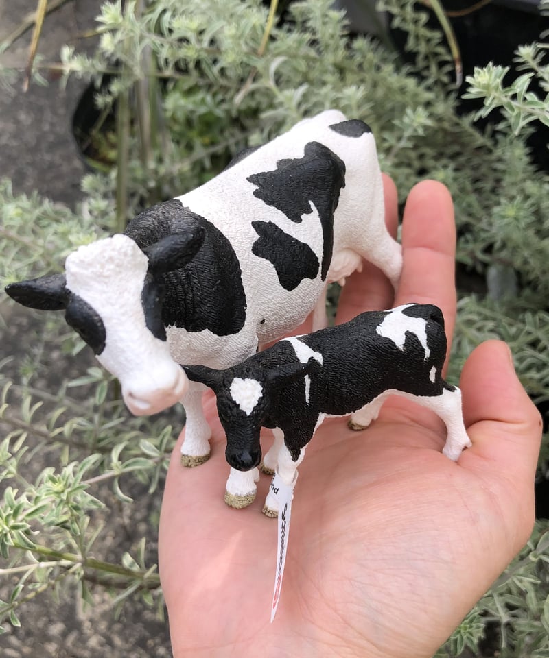 Schleich 2set ウシの親子 | ¨MONKEY TREE¨ by SABOTEN