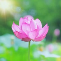 8世代前までの水子供養