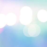 式神供養 お供え代行オプション