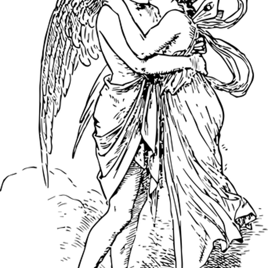 5d47d5c80838297b42548139