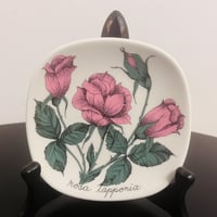 《ARABIA》Botanica　ピンクローズ（Rosa Lapponia)【Esteri Tomula】