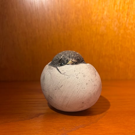 CATEGORY 【Hannes Johansson】 | sugallery