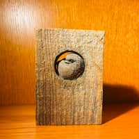 【Hannes Johansson】木に籠る鳥