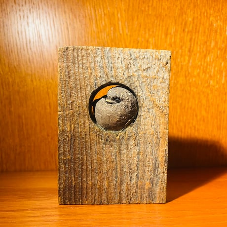 CATEGORY 【Hannes Johansson】 | sugallery