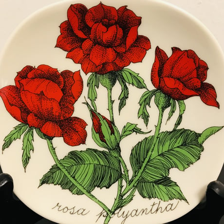 《ARABIA》Botanica　　野ばら　（rosa polyantha）【Esteri Tomula】