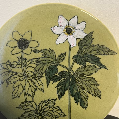 【Gunvor Olin-Gronqvist】Anemone Nemorosa 陶板《Arabia 》