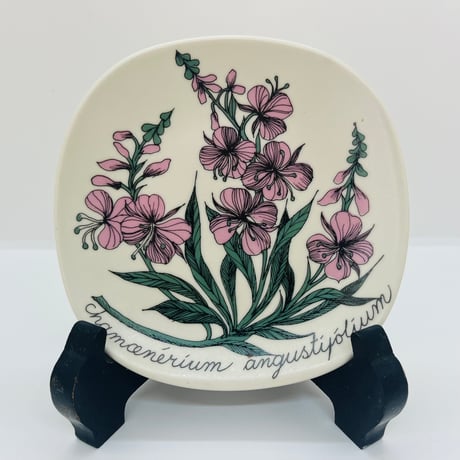 CATEGORY ARABIA | sugallery