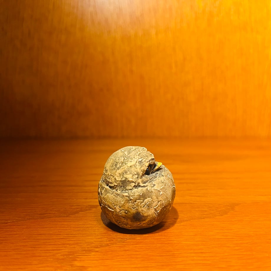 689b5327ff050463d732e3df