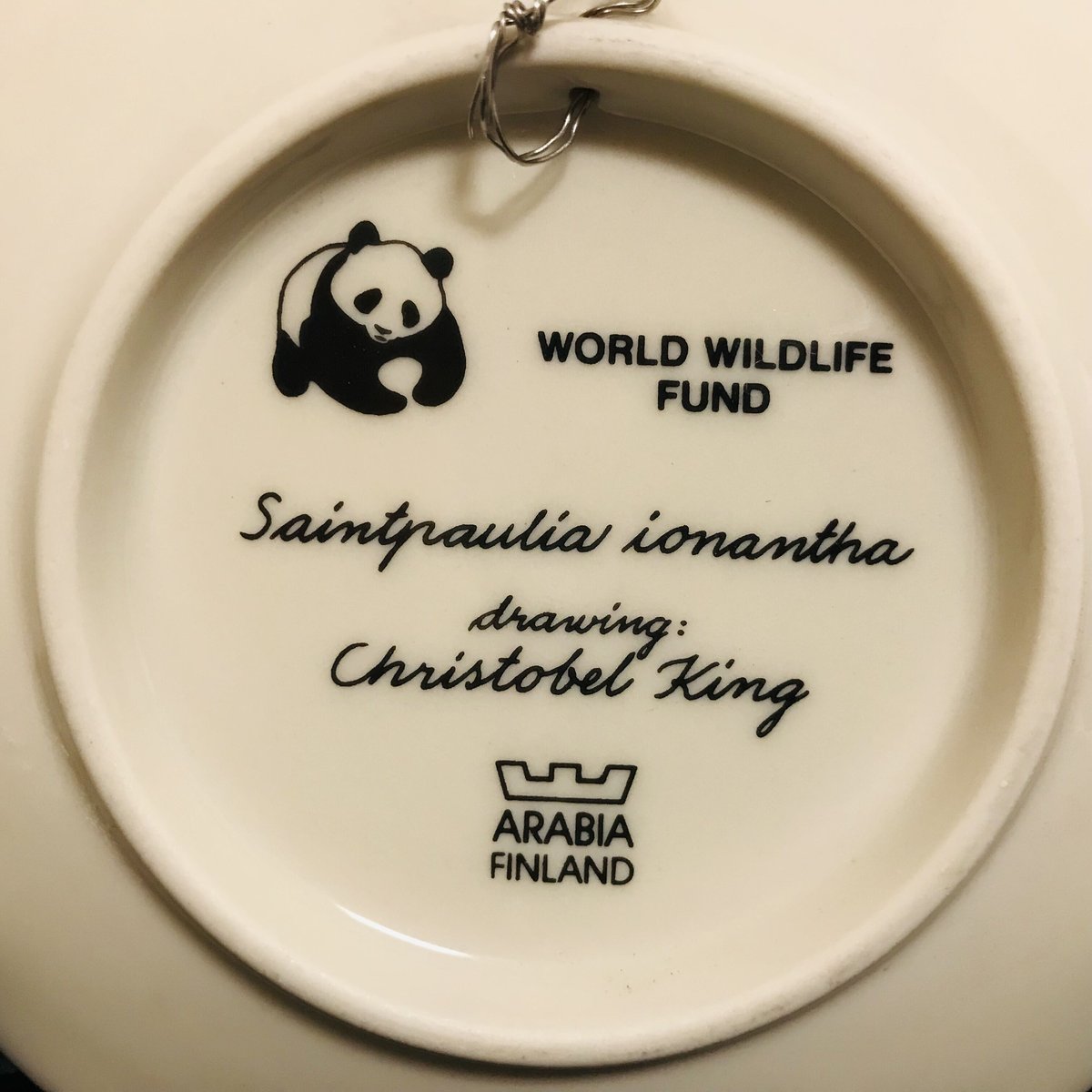 セントポーリア マウナロア SAINT Mxxxxxx/Robert Mapplethorpe （セント マイケル/ロバート