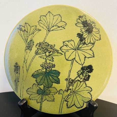 【Gunvor Olin-Gronqvist】 Alchemilla Pastoralis 陶板《Arabia 》