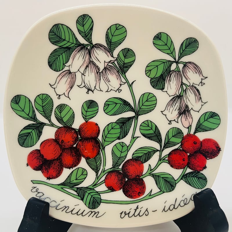 ARABIAエステリ ボタニカ 