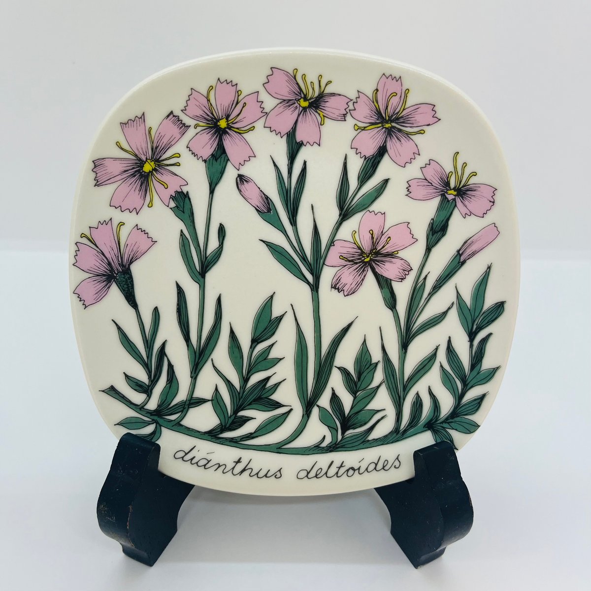 ARABIA》Botanica ヒメナデシコ (dianthus deltoides) 【E