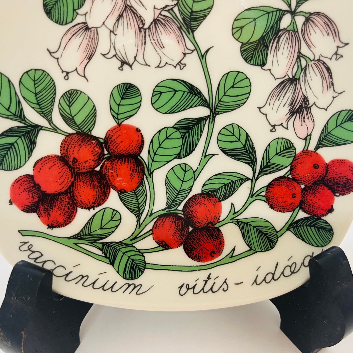 ARABIAエステリ ボタニカ \"Vaccinium vitis-idaea\" ARABIAエステリ ボタニカ 