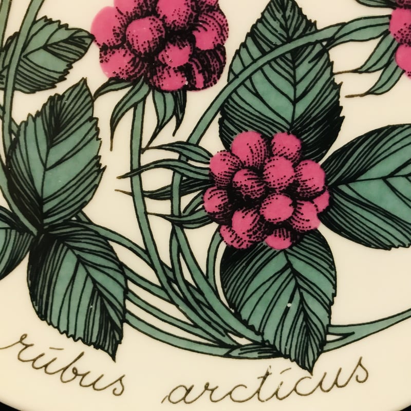 ARABIA》Botanica キイチゴ (rubus arcticus) 【Esteri