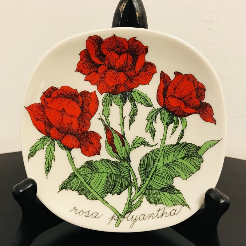 ARABIA エステリ・トムラ ボタニカ /