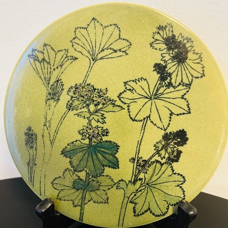 【Gunvor Olin-Gronqvist】 Alchemilla Pastoralis 陶板《Arabia 》
