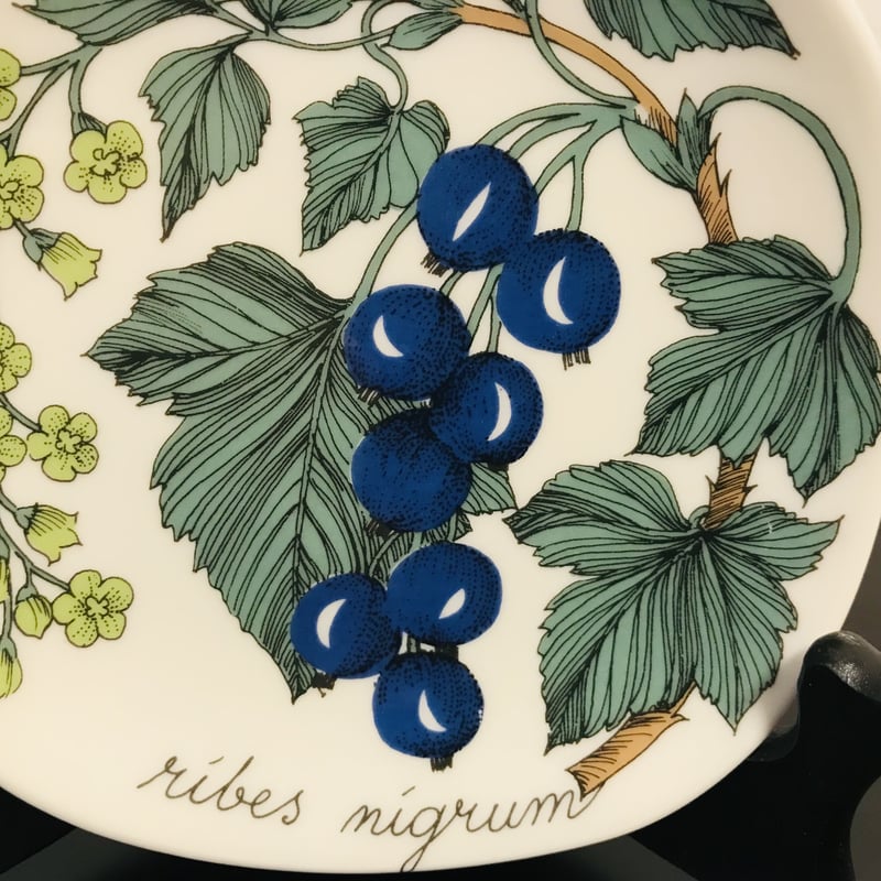 ARABIA》Botanica ブラックカラント (ribes nigrum) 【Ester