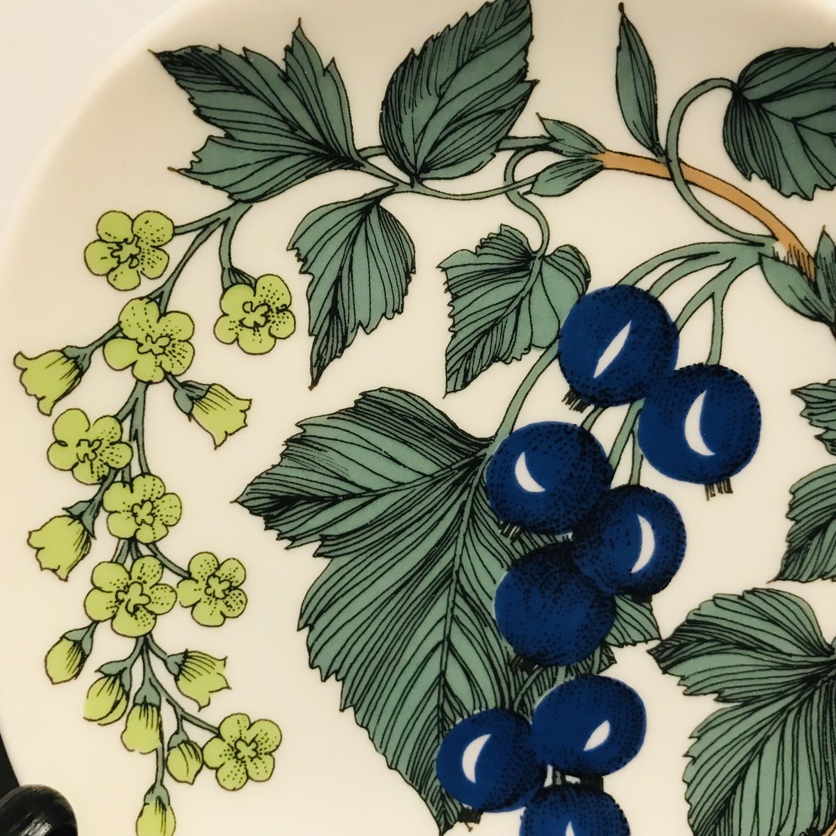 ARABIA エステリ・トムラ ボタニカ \"Ribes rubrum\" ARABIA エステリ・トムラ ボタニカ 