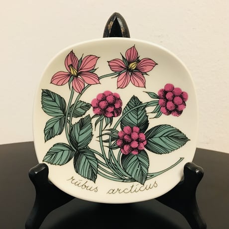 《ARABIA》Botanica　キイチゴ　(rubus arcticus)　【Esteri Tomula】