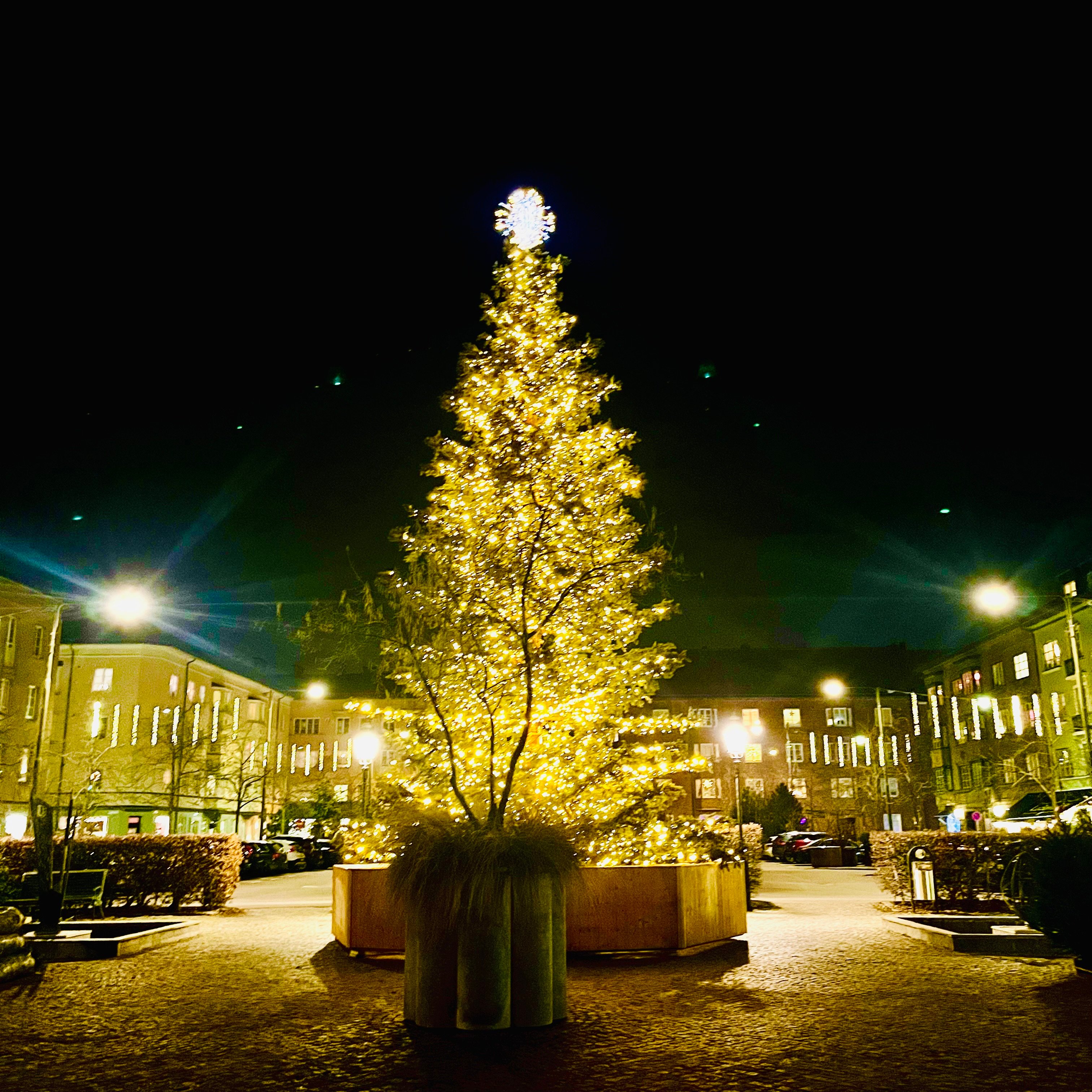 CATEGORY 【Gunner Nylund】 | sugallery