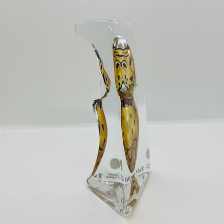 【Renate Stock-Paulsson】ヒョウ《Sea Glasbruk》