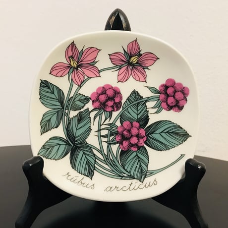 《ARABIA》Botanica　キイチゴ　(rubus arcticus)　【Esteri Tomula】