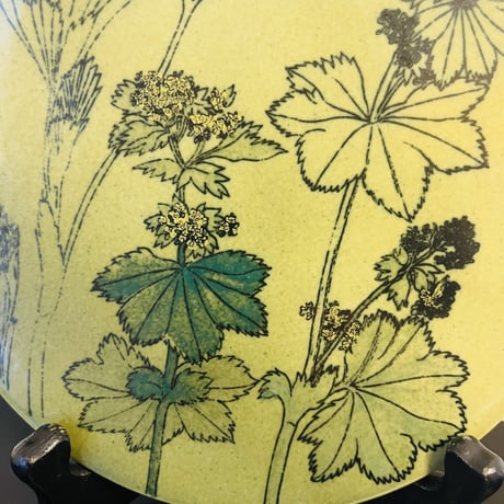 【Gunvor Olin-Gronqvist】 Alchemilla Pastoralis 陶板《Arabia 》
