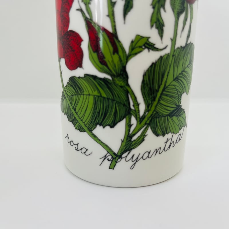 ARABIA vintage HLA フラワーベース(葉模様) ARABIA》Botanica 野ばら フラワーベース （rosa polyantha）【E