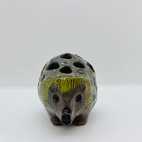 《Rutebo》ハリネズミ