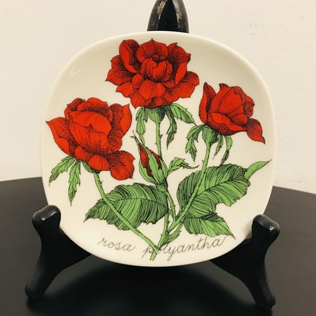 《ARABIA》Botanica　　野ばら　（rosa polyantha）【Esteri Tomula】