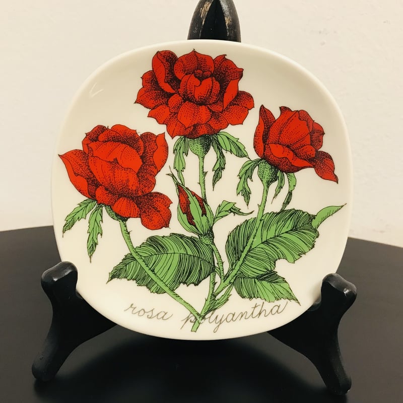 ARABIA エステリ・トムラ ボタニカ /